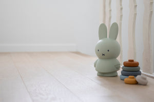 Miffy Eucalyptus Money Box 13.5cm