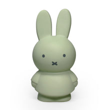 Load image into Gallery viewer, Miffy Eucalyptus Money Box 13.5cm
