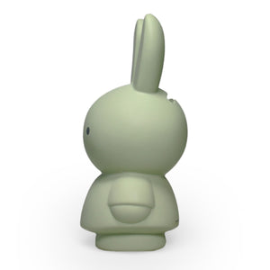 Miffy Eucalyptus Money Box 13.5cm