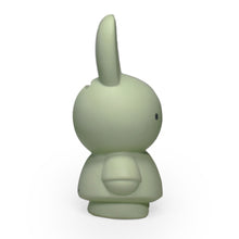 Load image into Gallery viewer, Miffy Eucalyptus Money Box 13.5cm
