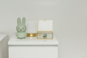 Miffy Eucalyptus Money Box 19cm