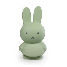 Load image into Gallery viewer, Miffy Eucalyptus Money Box 19cm
