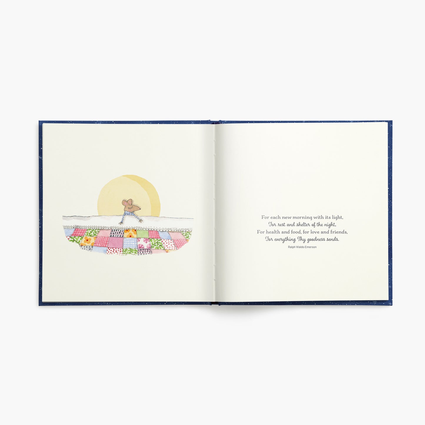 Affirmations-Twigseeds Inspirational Book - To the Moon and Back