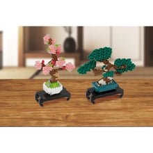 Load image into Gallery viewer, MININANO Pine Bonsai
