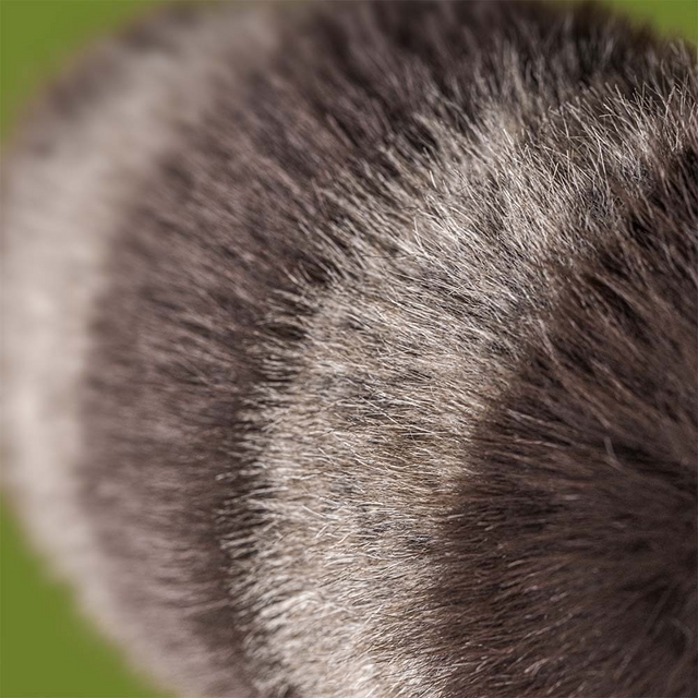 Jellycat Trixiwoo Raccoon 24cm