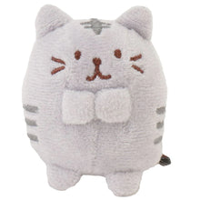 Load image into Gallery viewer, Hapins Kitten Small Chartreuse Cat
