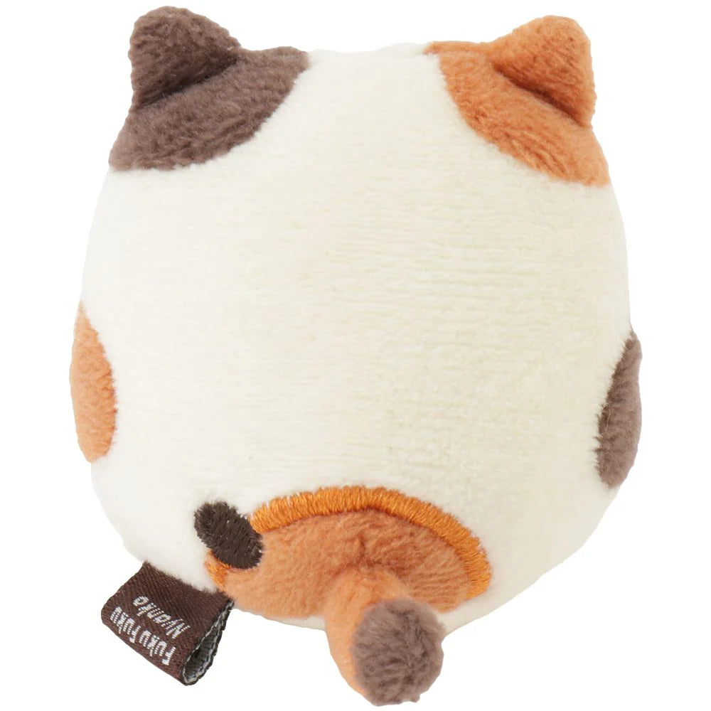 Hapins Kitten Small Calio Cat