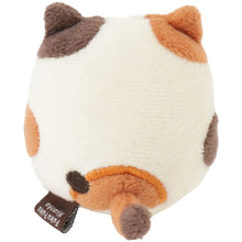 Load image into Gallery viewer, Hapins Kitten Small Calio Cat
