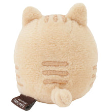 Load image into Gallery viewer, Hapins Kitten Small Ginger Cat
