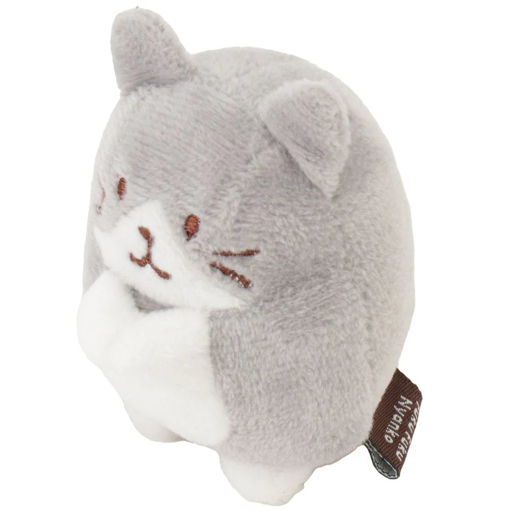 Hapins Kitten Small Ragdoll Cat