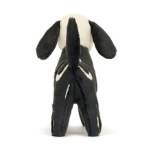 Load image into Gallery viewer, Jellycat Skeledog Dan 22cm
