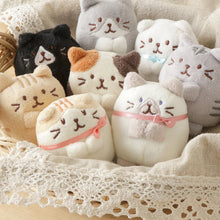 Load image into Gallery viewer, Hapins Kitten Small Scottish Fold
