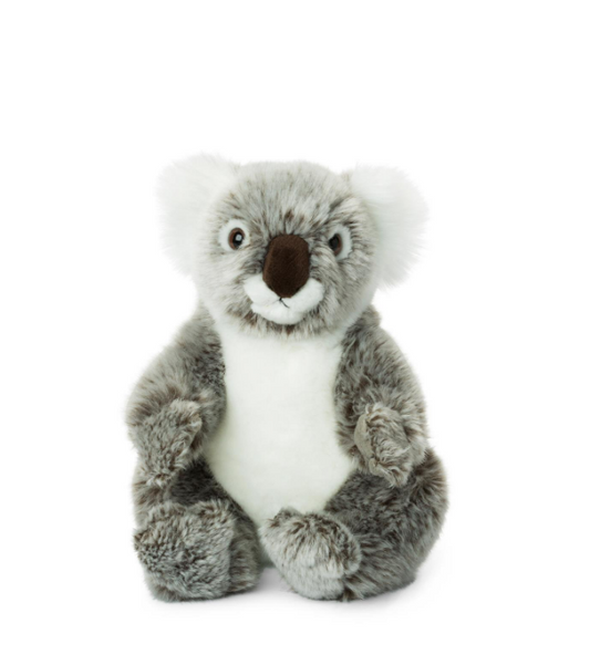 WWF Koala - 22 cm - 8.5"