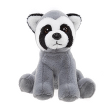 Load image into Gallery viewer, Cuddle Cubs by Charlie Bears Raccoon
