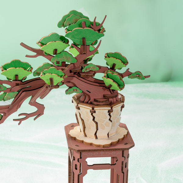 Robotime Rolife Evergreen Pine Bonsai DIY Wooden 3D Puzzle TG510
