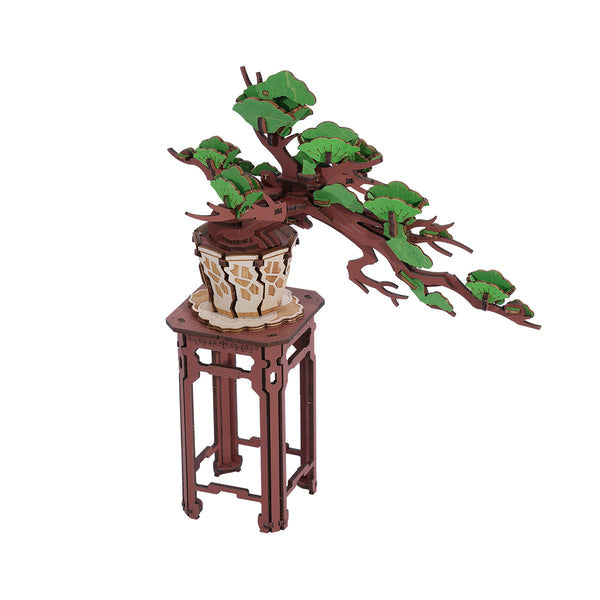Robotime Rolife Evergreen Pine Bonsai DIY Wooden 3D Puzzle TG510
