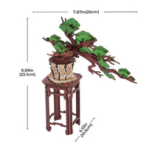 Load image into Gallery viewer, Robotime Rolife Evergreen Pine Bonsai DIY Wooden 3D Puzzle TG510
