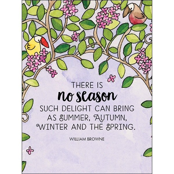 Affirmations -Twigseeds 24 Cards - Up The Garden Path - DGP