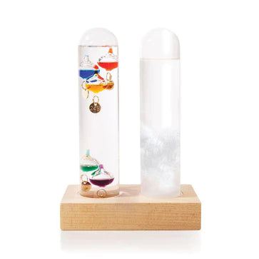 IsGift Dual Weather Station | Storm Glass & Galileo Thermometer