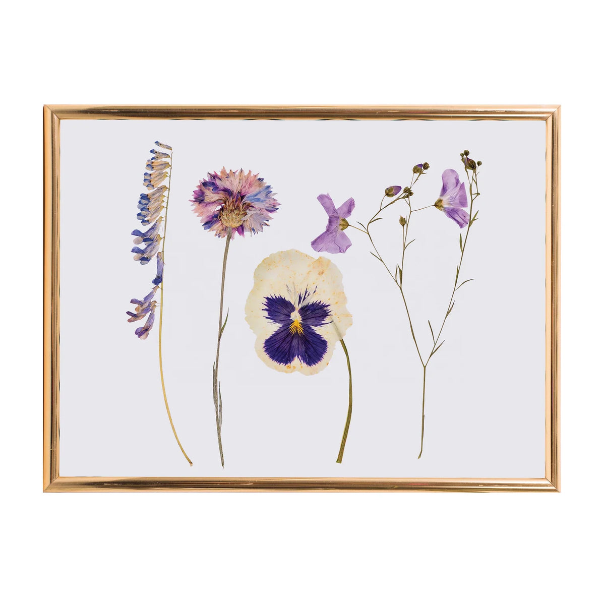 Discovery Zone Classic Flower Press - Wood