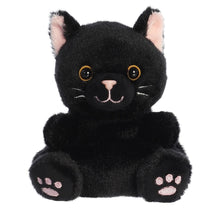 Load image into Gallery viewer, Palm Pal Spooky Kitty 13cm
