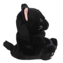 Load image into Gallery viewer, Palm Pal Spooky Kitty 13cm
