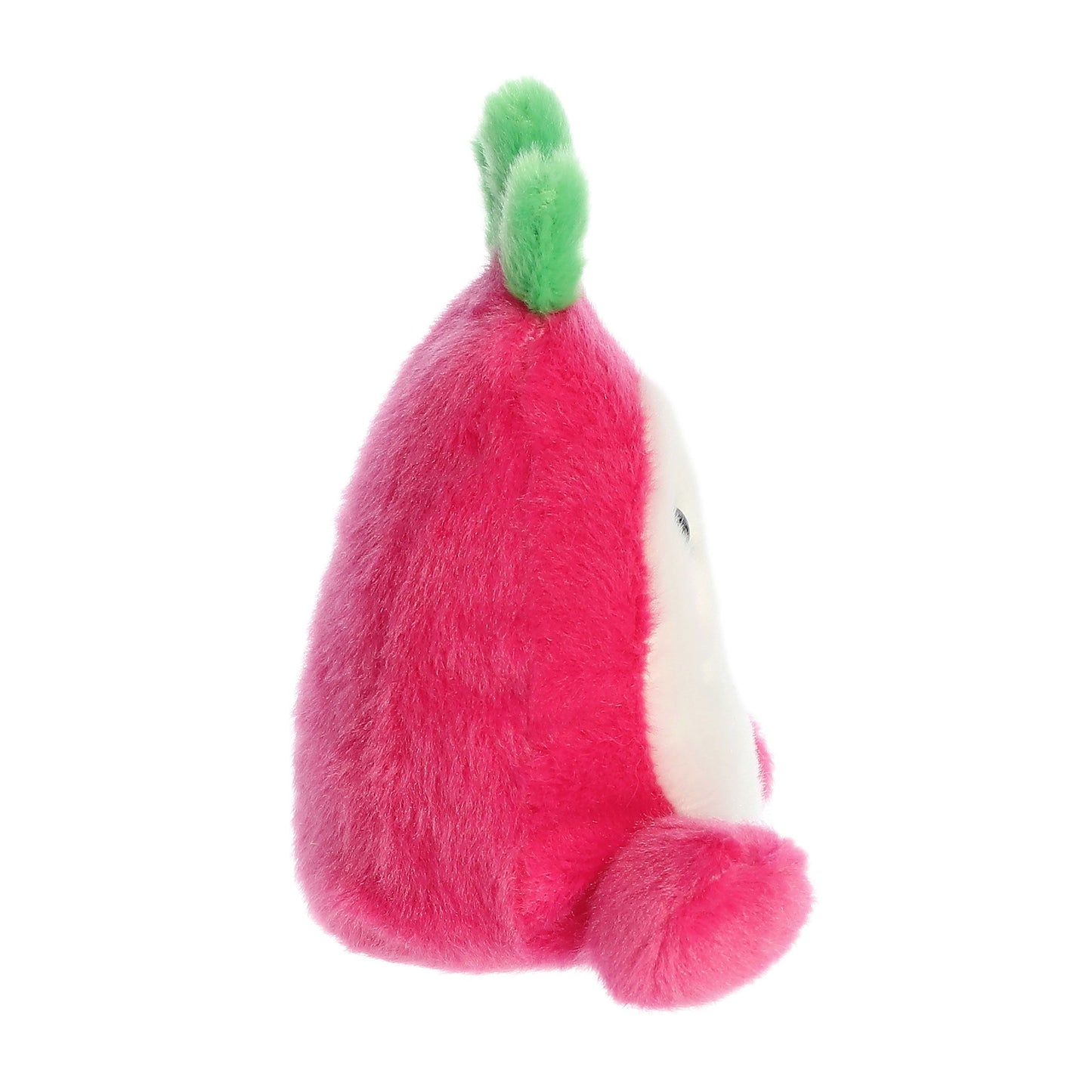 Palm Pal Dragonfruit 13cm