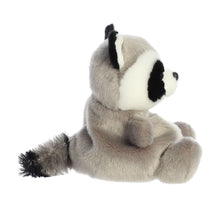 Load image into Gallery viewer, Palm Pal Rascal Raccoon 13cm

