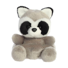 Load image into Gallery viewer, Palm Pal Rascal Raccoon 13cm
