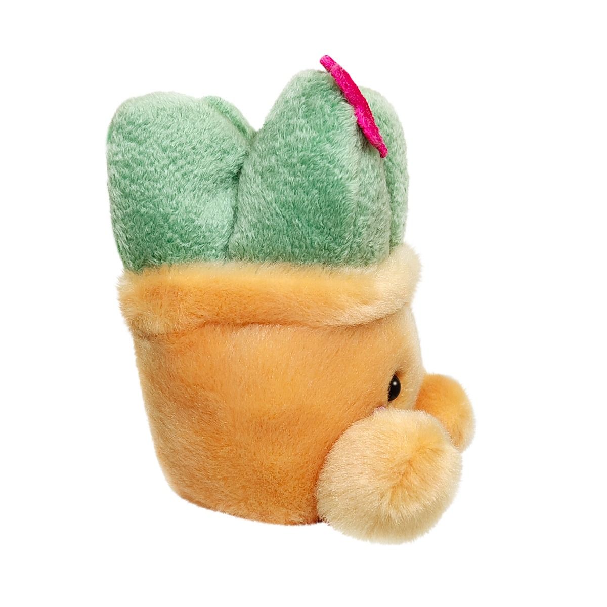 Palm Pal Seyla Scculent 13cm