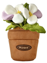 Load image into Gallery viewer, PlushWoods Viola Cornuta Plant Plush With Pot 18cm
