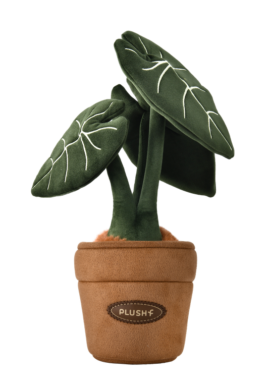 PlushWoods Alocasia Frydek Plant Plush With Pot 25cm