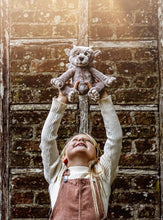 Load image into Gallery viewer, Charlie Bears Bearhouse Collection-Moat 20cm
