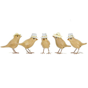 DCUK Buzzy Bee Garden Birds Assorted (1 pcs)