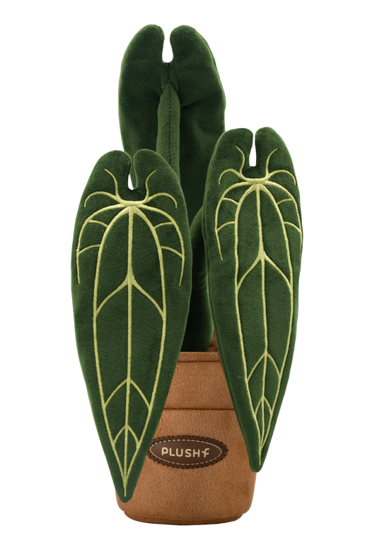 PlushWoods Queen Anthurium Plant Plush With Pot 26cm