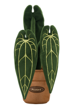 Load image into Gallery viewer, PlushWoods Queen Anthurium Plant Plush With Pot 26cm
