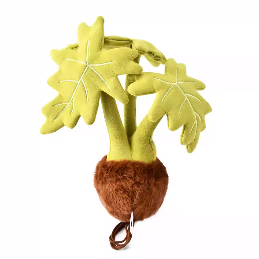 Plushwood Philodendron warscewiczii'Aurea Flavum' Plant Plush