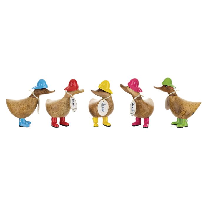 DCUK Raincoat Duckys Assorted (1 pcs)