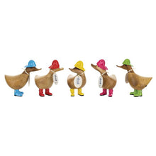 Load image into Gallery viewer, DCUK Raincoat Duckys Assorted (1 pcs)
