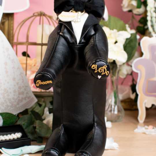 Vendula The Wedding Shop-Vinnie the Groom Cat Bag