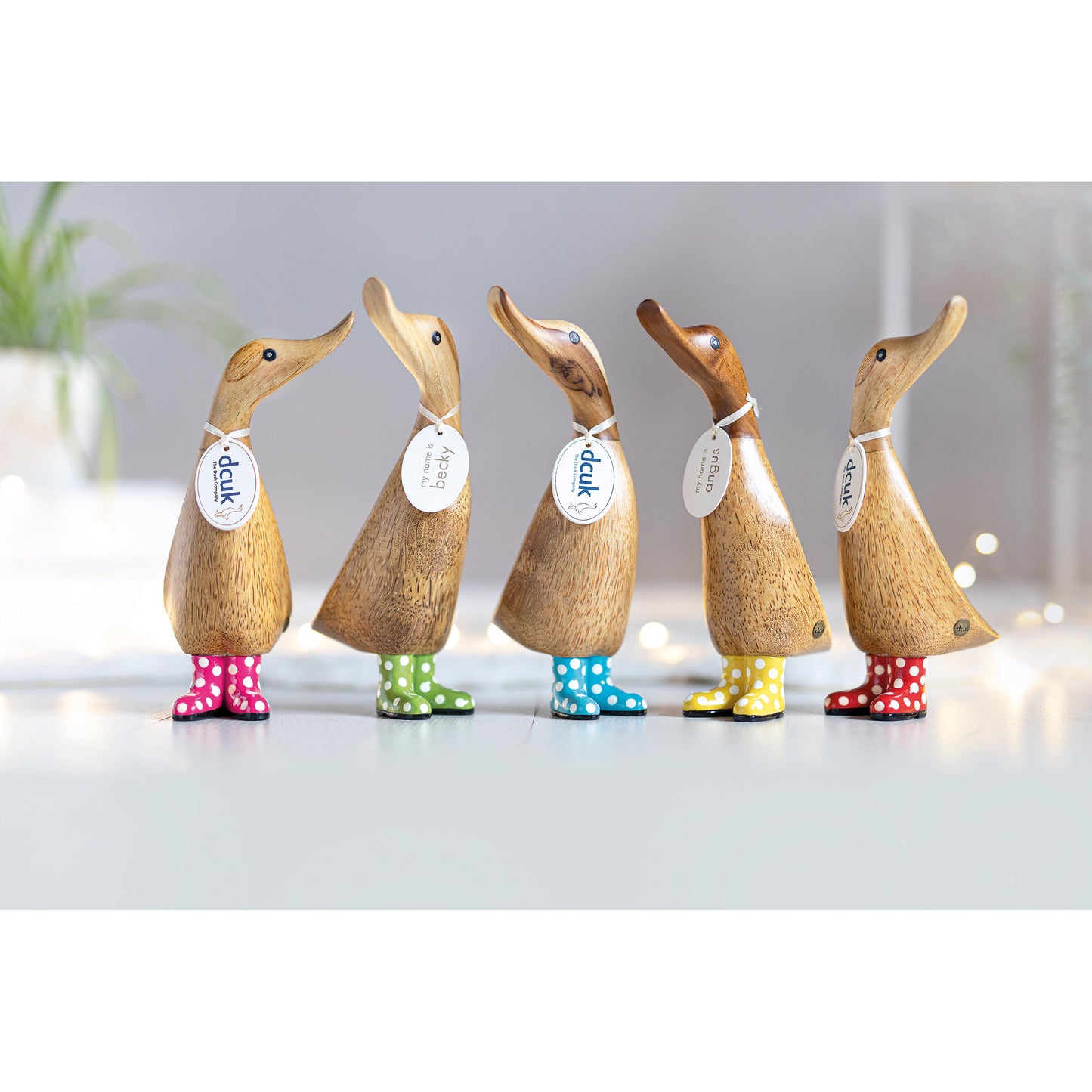 DCUK Natural Welly Duckling Spotty (1pc)