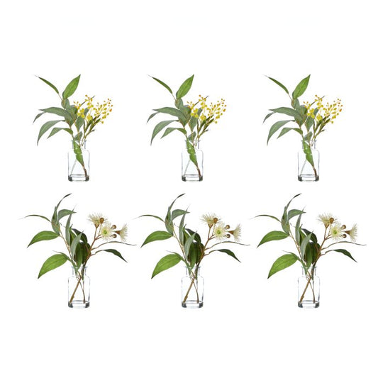 Rogue Eucalyptus Wattle Mix-Specimen Bottle 23x26x33cm