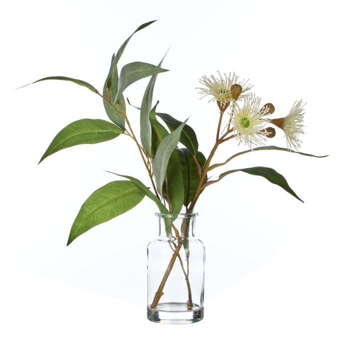 Rogue Eucalyptus Wattle Mix-Specimen Bottle 23x26x33cm