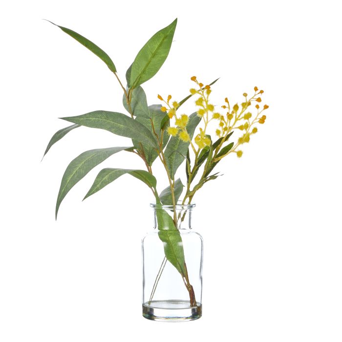 Rogue Eucalyptus Wattle Mix-Specimen Bottle 23x26x33cm