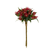Load image into Gallery viewer, Rogue Eucalyptus Flower Bunch Red 47x33x62cm

