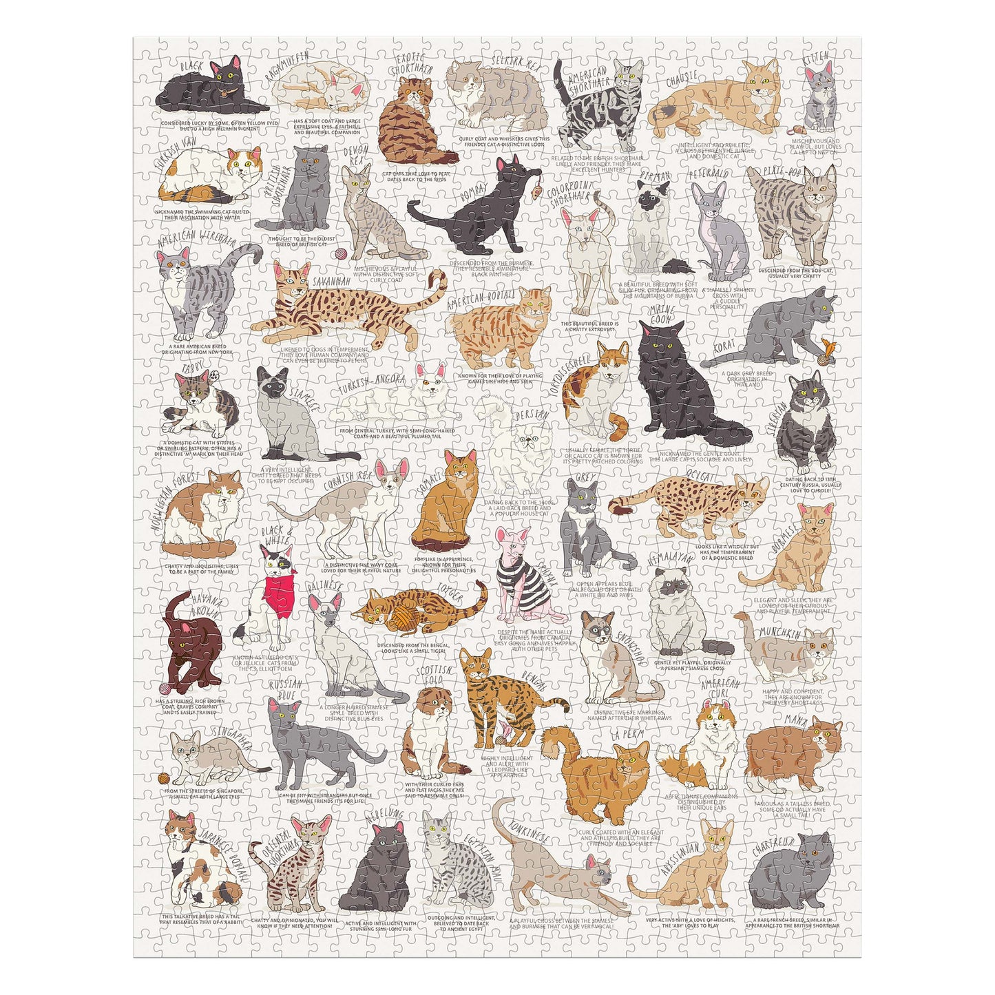 Ridley's Cat Lover's 1000 Piece Jigsaw Puzzle