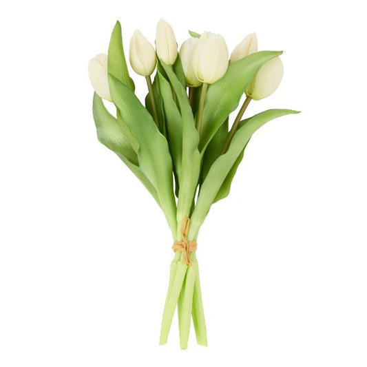Rogue Tulip Bunch White 20x20x30cm