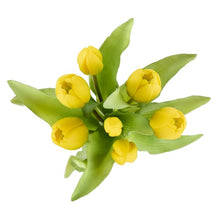 Load image into Gallery viewer, Rogue Tulip Bunch Yellow 20x20x30cm
