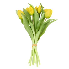 Load image into Gallery viewer, Rogue Tulip Bunch Yellow 20x20x30cm
