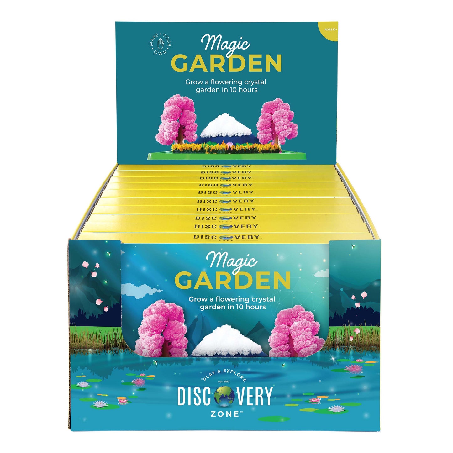 Discovery Zone Magic Garden